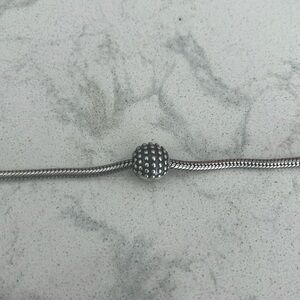 Pandora spacer charm